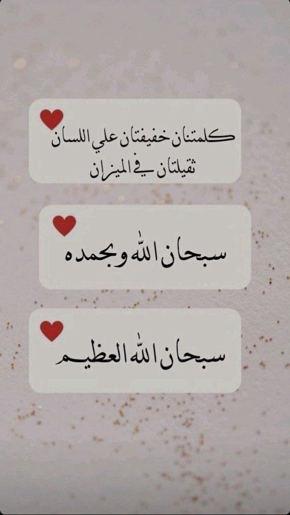 📍اهتموا بصلواتكم وتسامحوا وابتعدوا عن الحرام
فلا أحد منا يعلم متى الرحيل !!

● رزقنا الله وإياكم .
بشارة الملائكة بالجنة التي توعدون  ..✍🏻