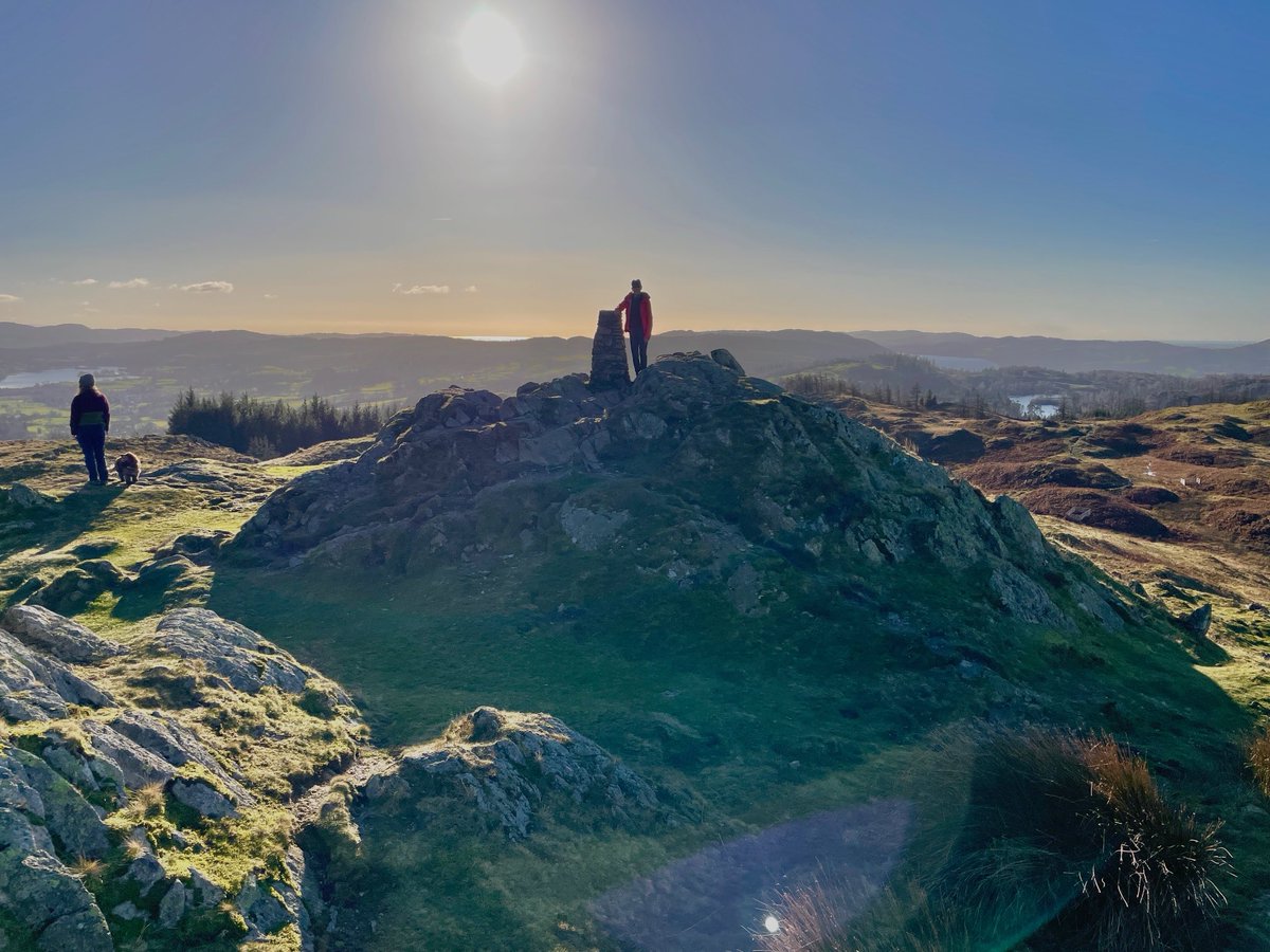 ⁦<a href="/claptonterrier/">Sir Clapton Terrier</a>⁩ I was not photographed on the summit either Sir - I shall step up the pressure that’l show them 🐾🐾🐾🐾