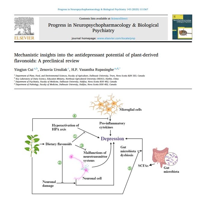 H.P. Vasantha Rupasinghe tweet media