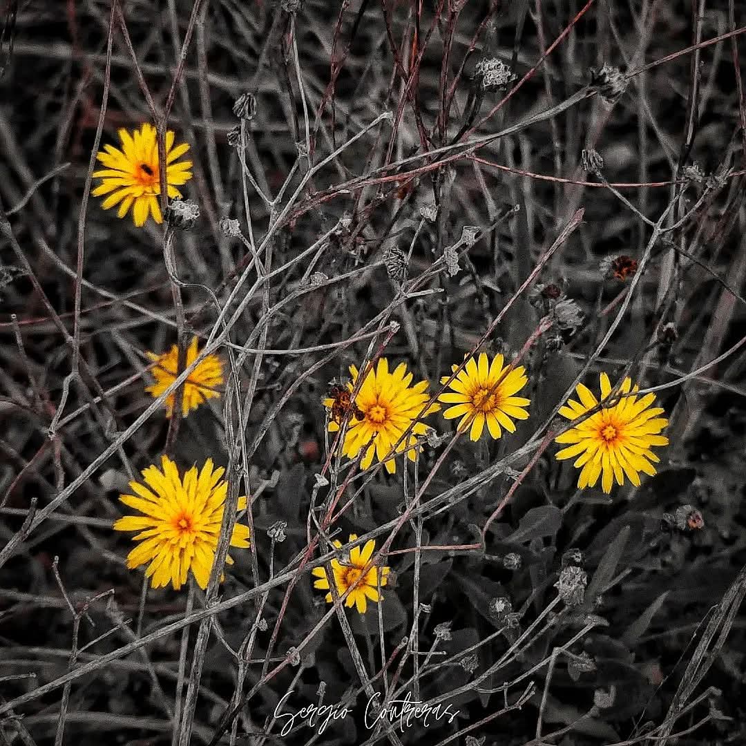 Vaya donde vaya, la fotografía vendrá conmigo ❤️📷❤️📱❤️
Buenas noches !! 
📷