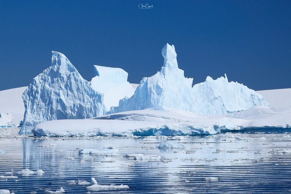 CharlottePlanC's tweet image. We ❤️ to give shoutouts to Plan C members when they are at remote sports events. But here’s a first, Steve Cozort from our networking group is in currently in Antarctica. #WhereIsPlanC #SteveCozortPhotography 📸❄️🐧