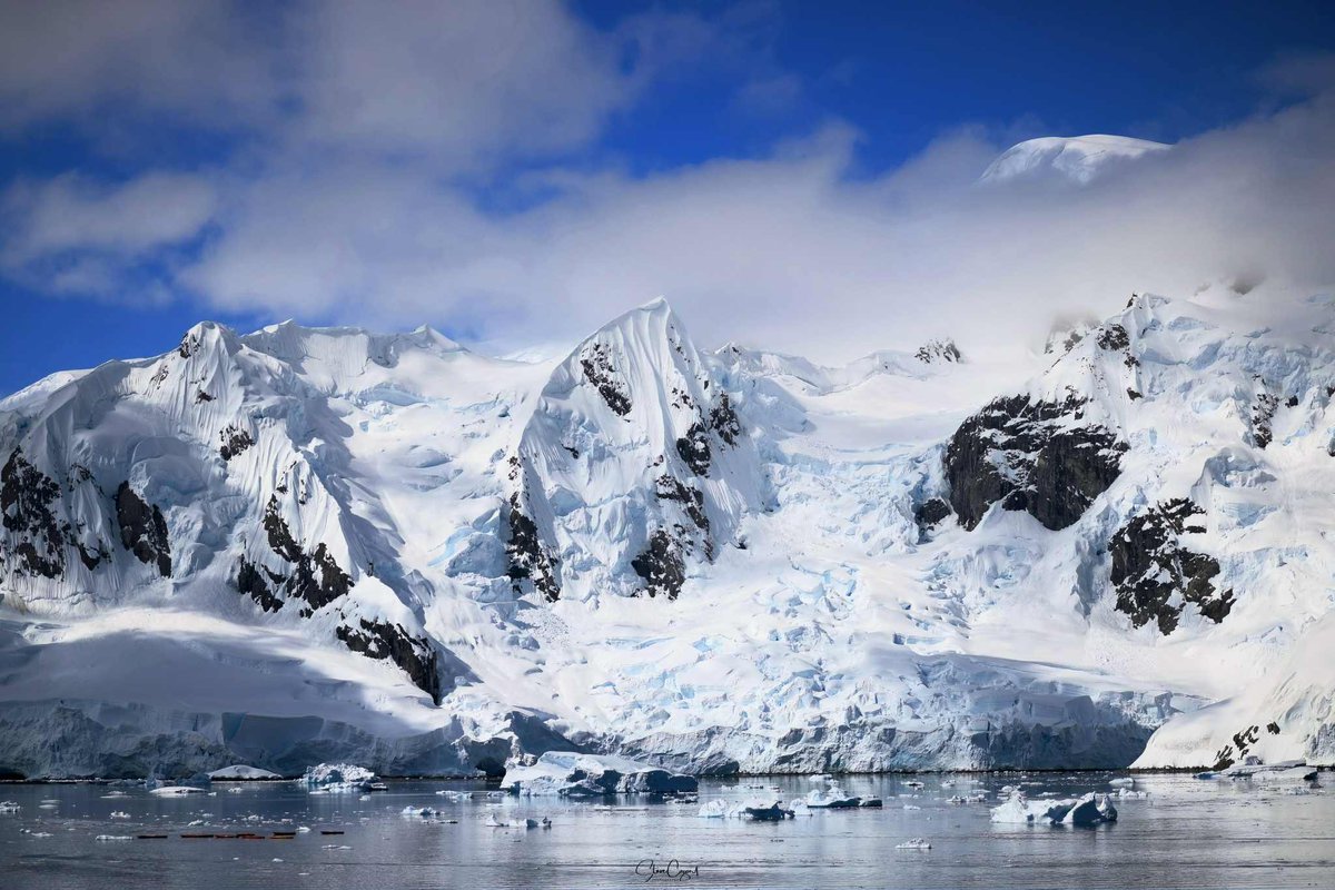 CharlottePlanC's tweet image. We ❤️ to give shoutouts to Plan C members when they are at remote sports events. But here’s a first, Steve Cozort from our networking group is in currently in Antarctica. #WhereIsPlanC #SteveCozortPhotography 📸❄️🐧