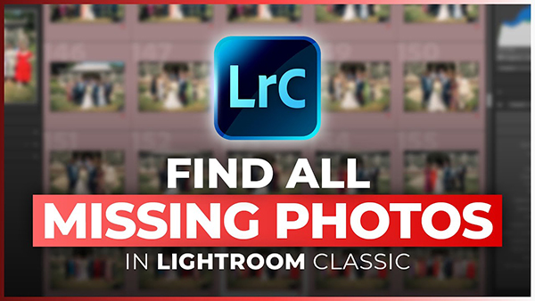 Shutterbug tweet media