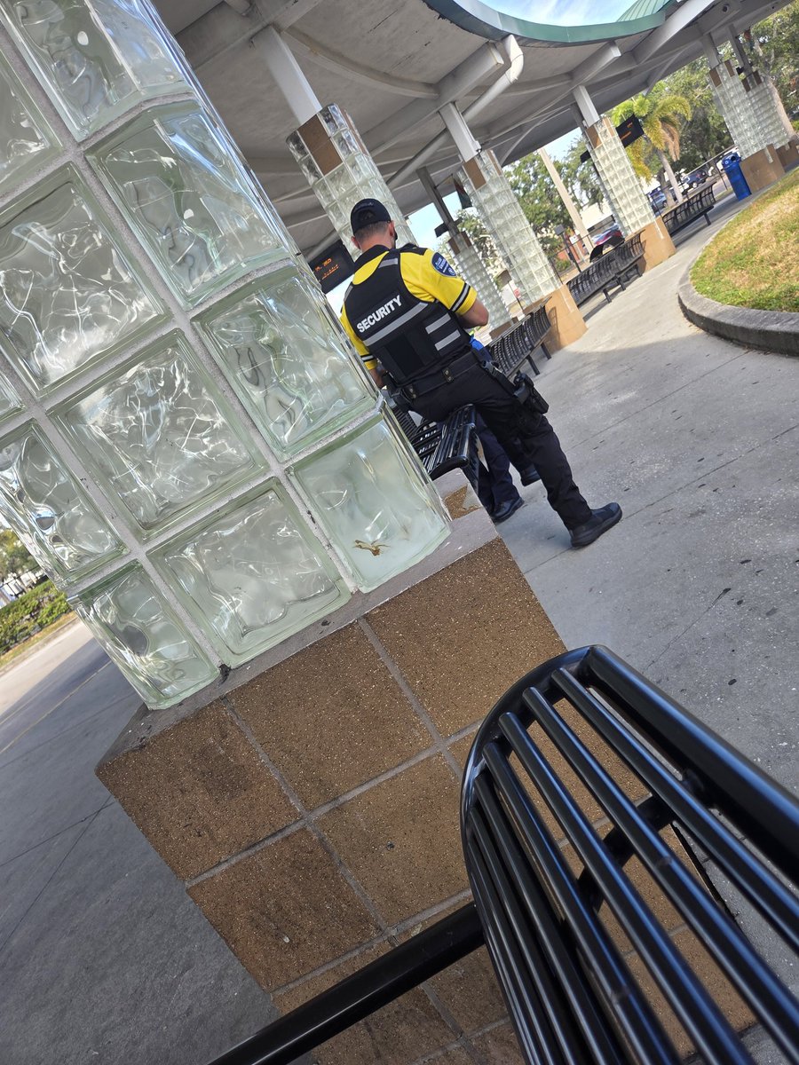 DStronzate's tweet image. This guard put his hand on me because I didnt board the next bus immediately. I was threatened for just sitting there. Im a 64 year old woman just looking at my phone. Cowardly as fuk and ridiculous as well. #psta