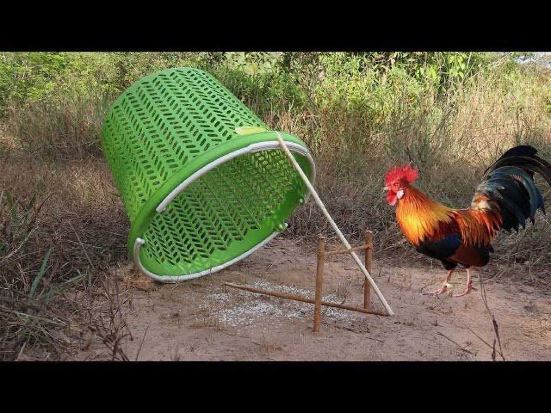 Jobs with Aramide tweet media