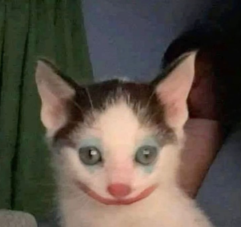 Poranek godzina 19:00
Smacznej kawusi, nie ściągać majtusi