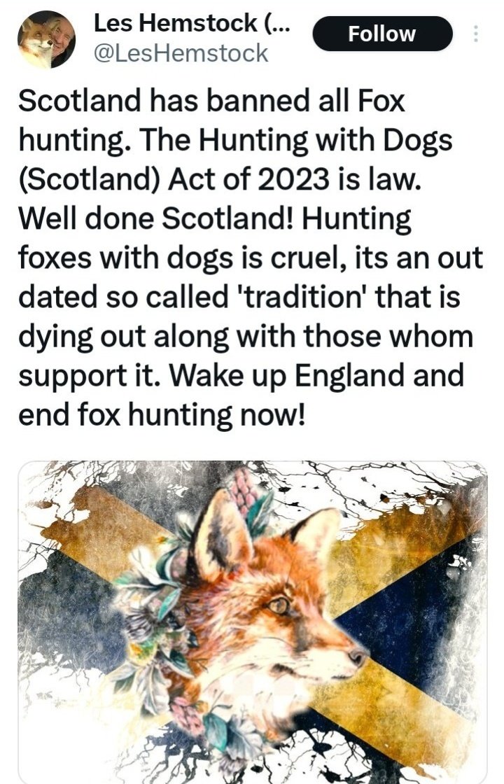 jolly_angelina's tweet image. Come on #Wales Let&apos;s follow Scotland&apos;s lead but ban 𝗔𝗟𝗟 #HuntingWithDogs  Last year the letter below was sent to Steve Reed 😡 Labour made many promises re wildlife welfare but, I believe have honoured none. Good to see @switherdenMP on the list @acdunbobbin @AnneatSaveMe