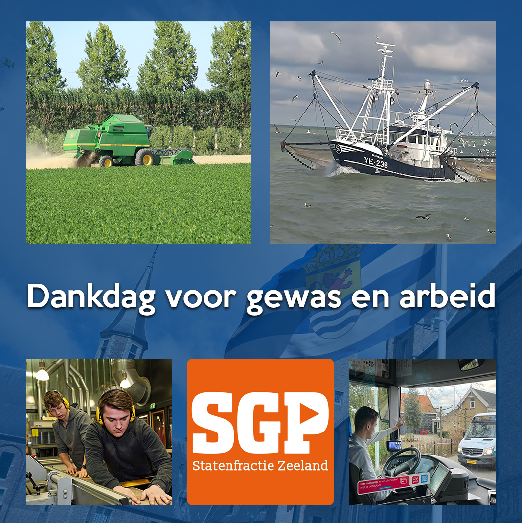SGP Zeeland tweet media
