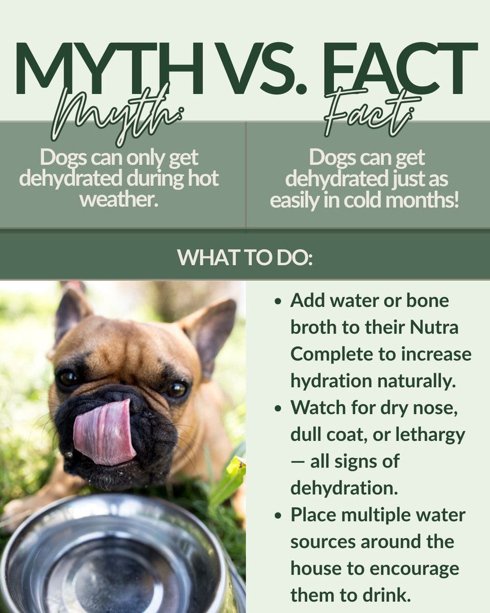 Did you know there’s a common myth about pet hydration? 💧
We’re here to bust it! ❄️🐾

Check out the truth about dehydration in colder weather — and how to keep your pet feeling their best all season long.