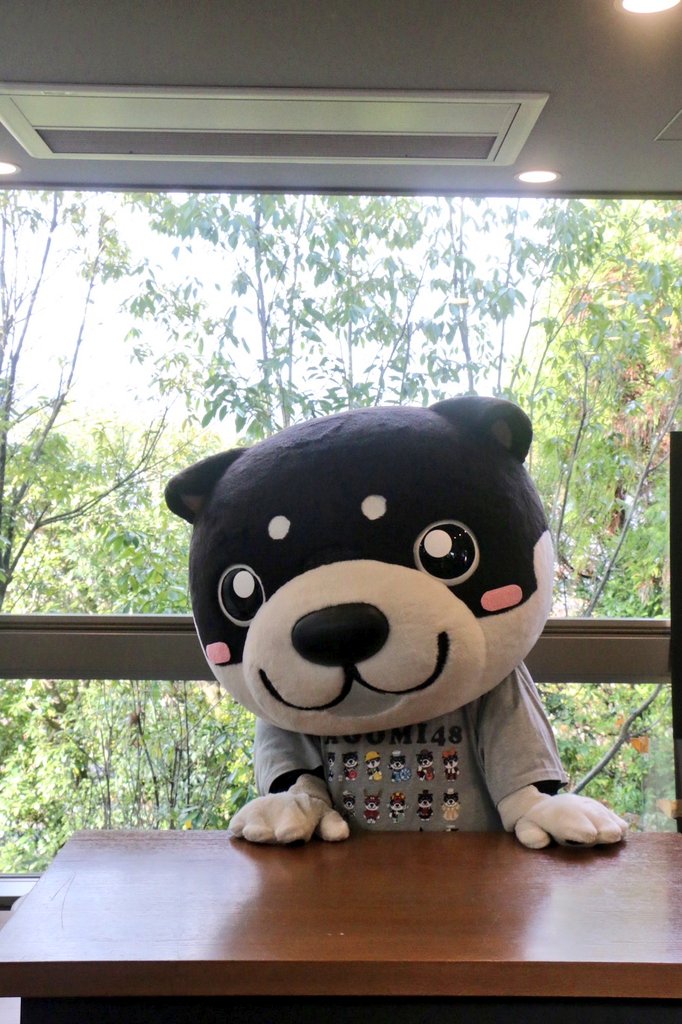 和み柴っこ【公式】 (@nagomi48) / Posts / X