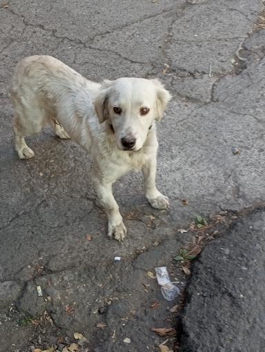 el tal Ramses tweet media