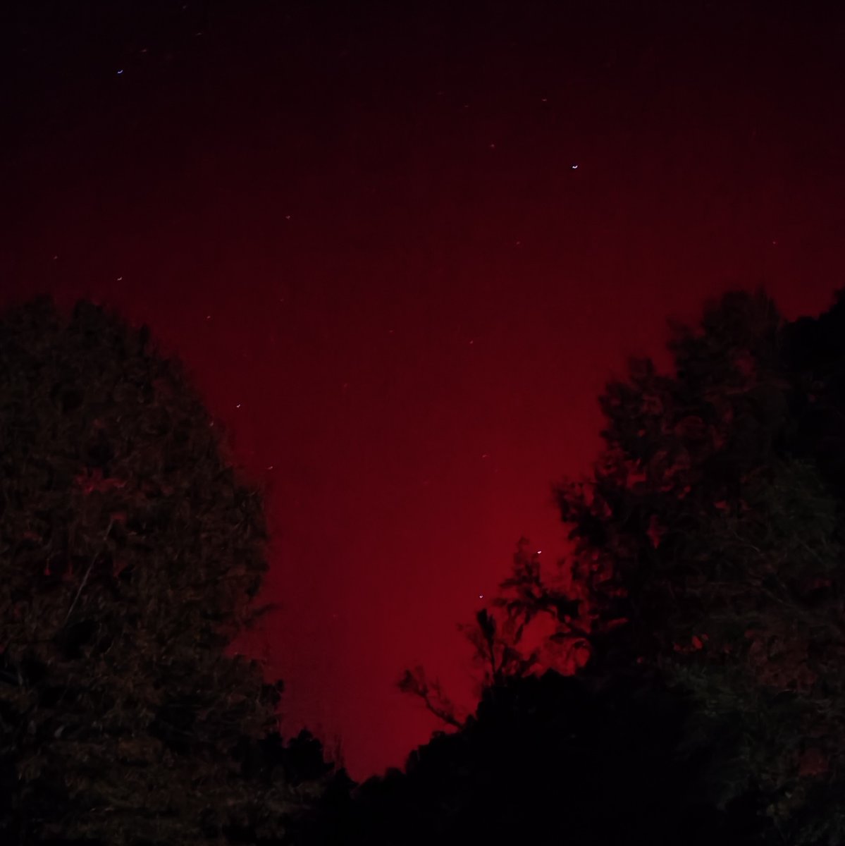 🌌 I took this recently. The sky itself bespoke the curse that stains Nat’s world in The Kinsman’s Tree.

Crimson darkness swallowing the light… until one tiny hero finds the Tree that pours forth redemption.

Your own aurora photo + the perfect read for nights when the heavens