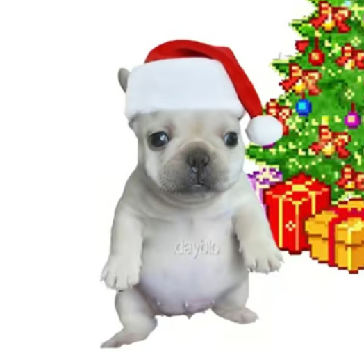 axedevsol's tweet image. Perfect narrative for us, christmas is almost here    

800k likes and and 5mil views   

Pibble with christmas = Pibmas

(tiktok.com/@.dayblo/video…)

Comm: x.com/i/communities/…

Wifmas went to 800k  

$Pibmas