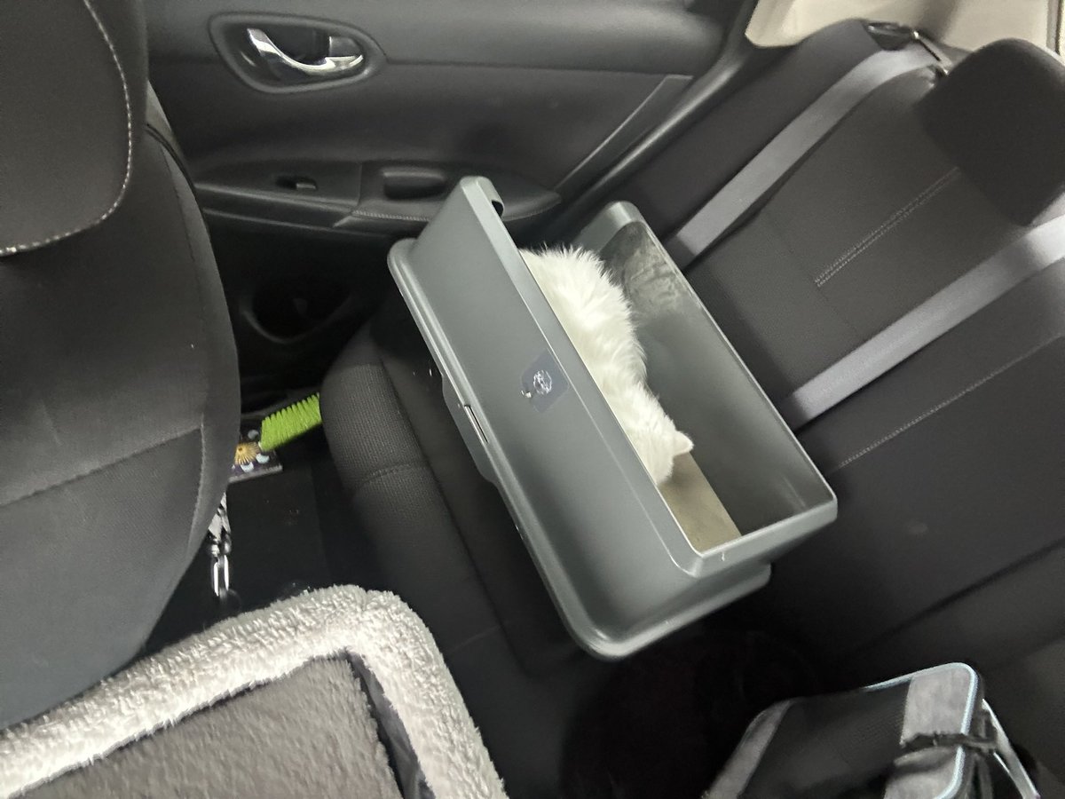 d1v1n3yay's tweet image. made mom pull over cause i had to poop in the car 💯