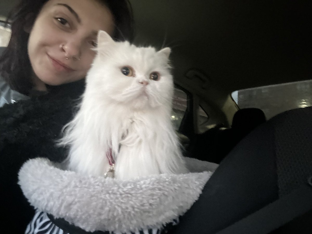 d1v1n3yay's tweet image. made mom pull over cause i had to poop in the car 💯