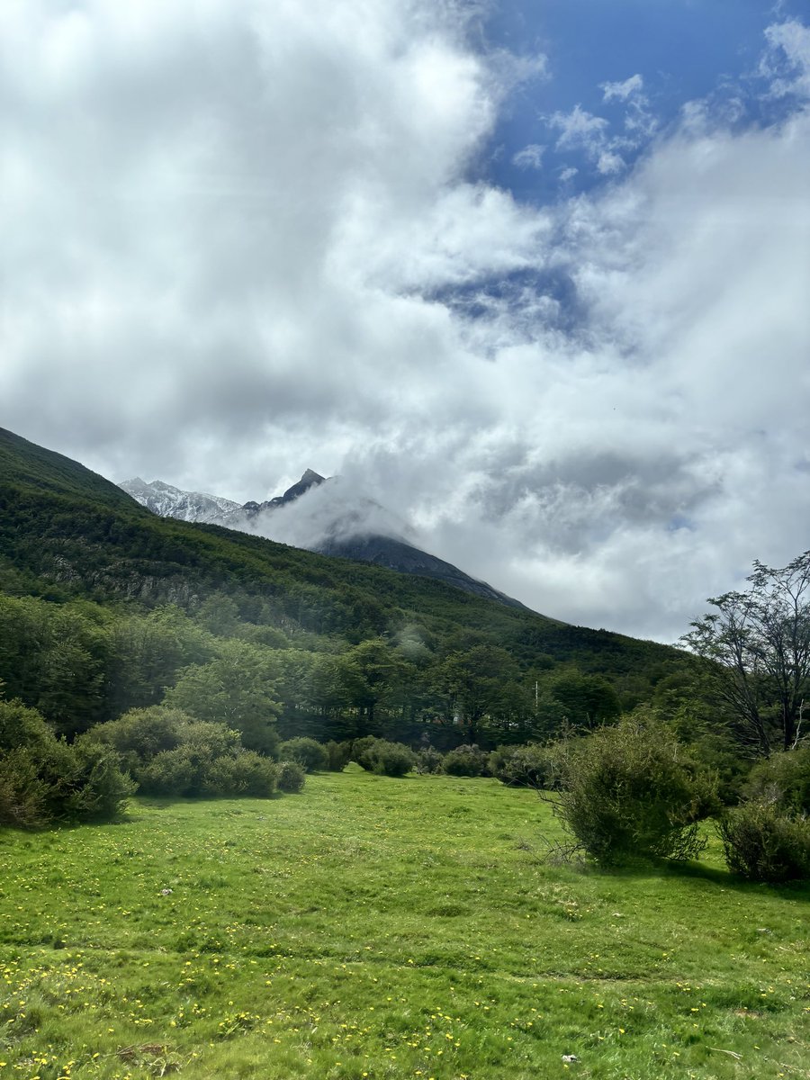 after two weeks of action at Devcon Buenos Aires it's time to touch grass
