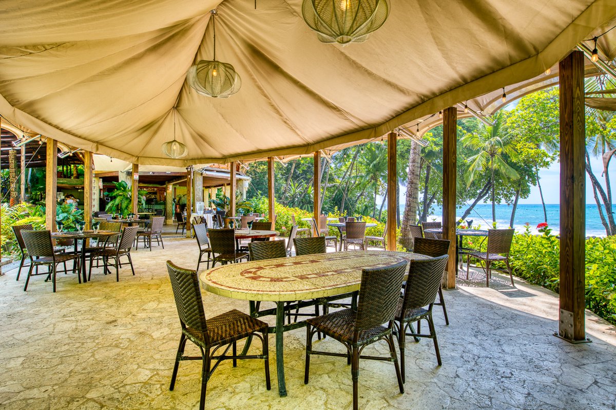 krazyafrican's tweet image. Dreaming of a gym, romantic outdoor dining, luxurious spa, chic lounge, or any unique creative space? 
@ExclusiveTents  delivers seductive designs that blend seamlessly with nature and elevate every experience!  
 #LuxuryTents #Glamping #OutdoorLiving #ExclusiveTents #TentDesign