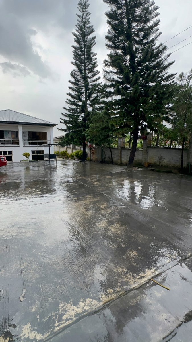 kachi_CRYPTO's tweet image. 💙➕