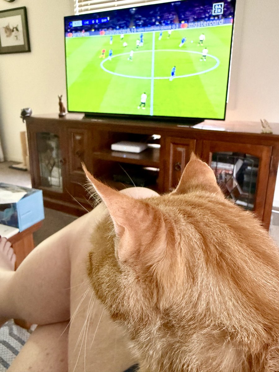 We watching <a href="/ChelseaFC/">Chelsea FC</a> v Barcelona !