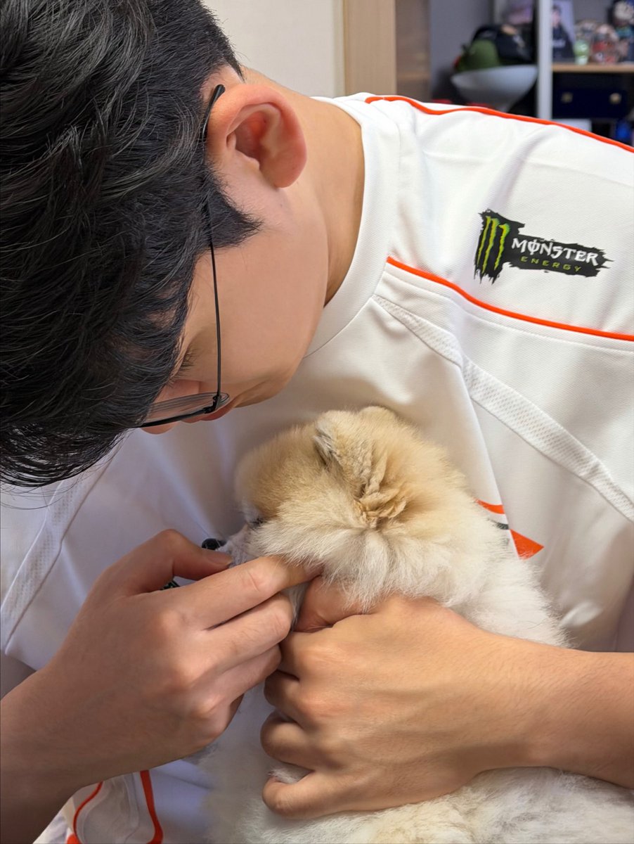 svarogclara's tweet image. day 1 asking for zekayusi