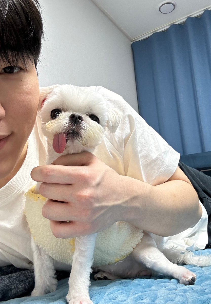 svarogclara's tweet image. day 1 asking for zekayusi