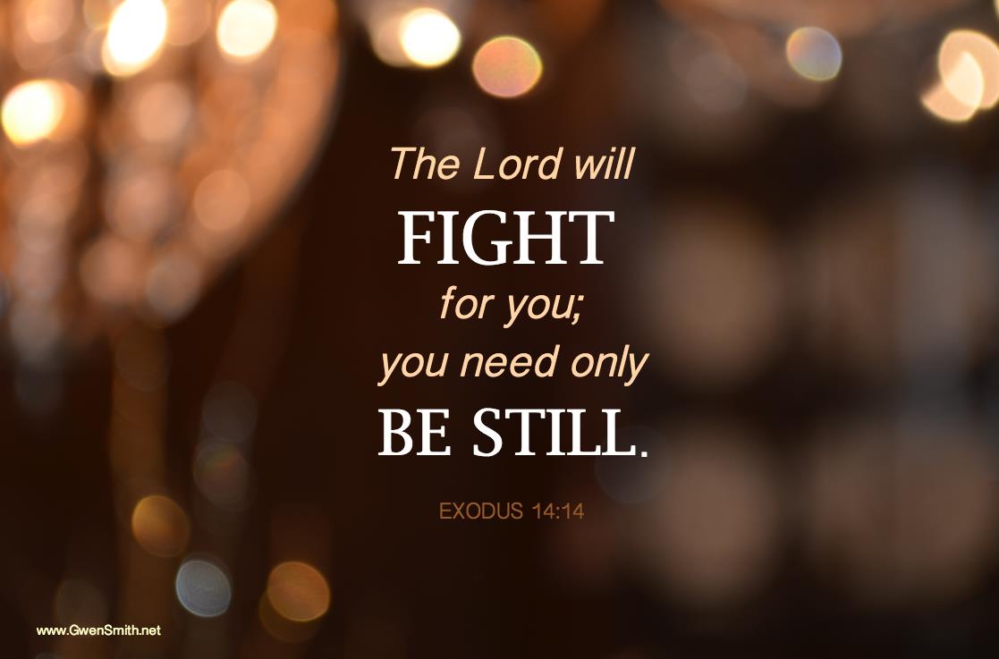 cselston's tweet image. “The Lord will fight for you, and you have only to be silent.”
Exodus 14:14 (ESV)

#DBV #Bible #Scripture #BibleVerse #Faith #Truth #PTL