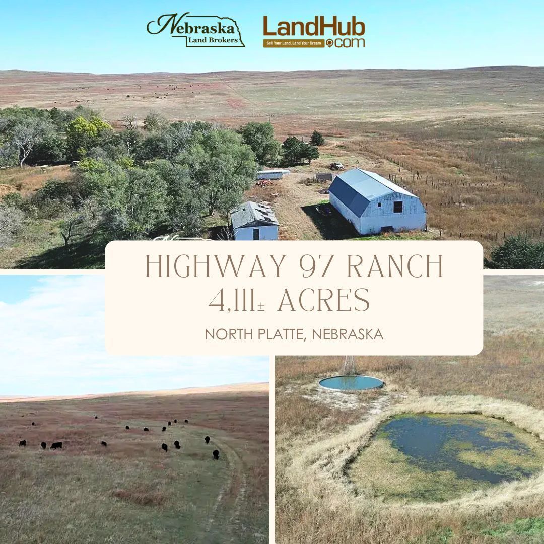 landhub's tweet image. HIGHWAY 97 RANCH | 4,111± ACRES | PRIME SANDHILL GRAZING | NORTH PLATTE, NE
Offered in 3 Parcels + 1 Combination + 2,060 sq ft home 

CONTACT AGENT 👉 buff.ly/qqLkBPI 
#landforsale #ranch #offgrid #farm #pastures #huntingland  #cattleranch #ranchauction #landauction