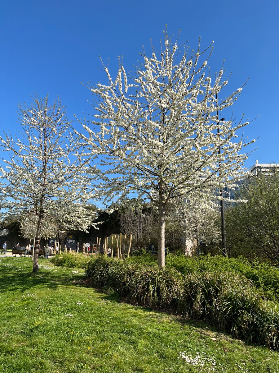 lethiecv's tweet image. À Rosa Parks, il y a un parvis très agréable !
(Vous confondez avec la forêt Claude Bernard.)