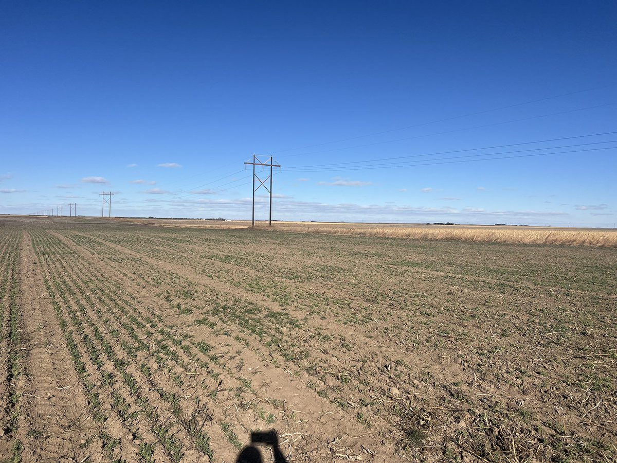 Dipak Santra tweet media