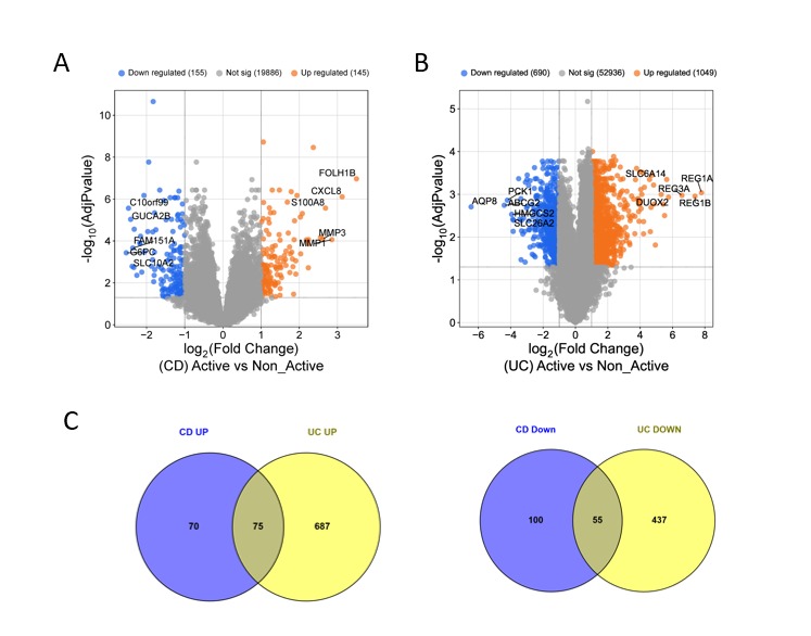 Evo_message's tweet image. نهاية اليوم الثاني من الندوة التطبيقية في المعلوماتية الحيوية: 

#Bioinformatics #Evolution_message #GeneExpression #بحث_علمي #المعلوماتية_الحيوية