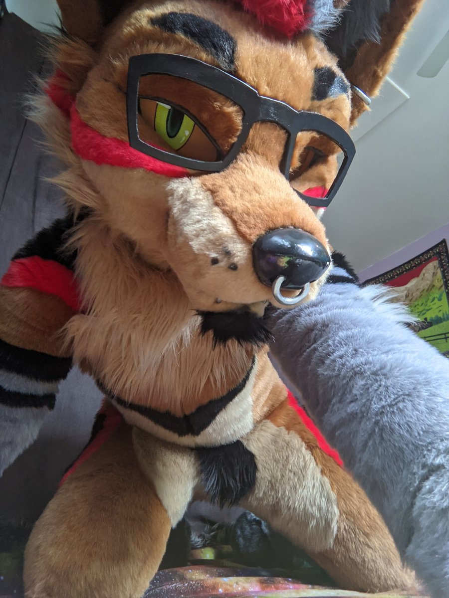 wildnorsewolf's tweet image. Welp, he&apos;s up on @TheDealersDen .. 🥹 Includes full planti fursuit made by OFA, dozens of art pieces and badges by well known artists such as: Silvixen, Furbakery, Mixedcandy, Allosaurex, Kaomoro, and more, and matching zentai/petsuit and latex suit.

thedealersden.com/listing/onefur…