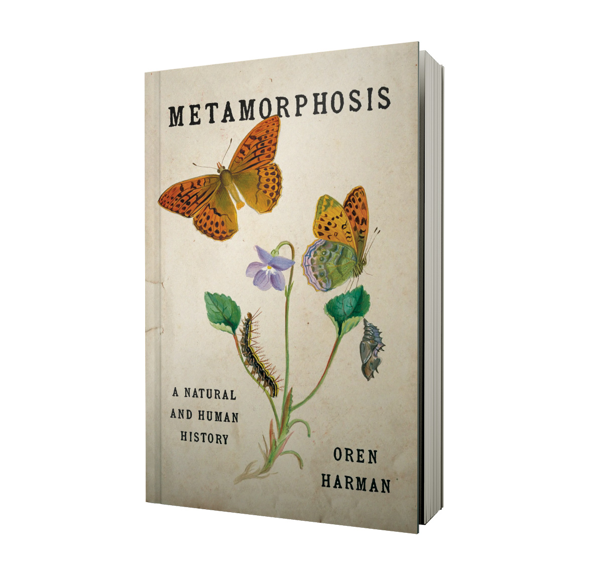 ScienceMagazine's tweet image. &quot;In Metamorphosis: A Natural and Human History, historian of science Oren Harman offers a meditation on transformation writ large.&quot;

Read the #ScienceBooks Review: scim.ag/4old5Cd