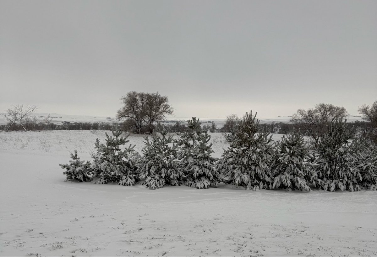 BrentLillibrid2's tweet image. Today’s outside view.