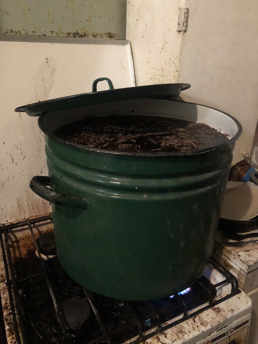 coastoflife_od's tweet image. Sometimes pots like 🧌 each new one is bigger and greener. This one might be ~4️⃣0️⃣litres. Too high for paraffin melting but fits to colour3️⃣0️⃣0️⃣0️⃣ square meters at ones. 
@elm7r335 learned a new 🇺🇦 word “ВИВАРКА” [vyvarka] = big pot for boiling 👖👚🩳👔 because the washing powder…