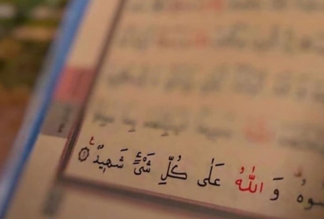 "Rabbinin her şeye şahit olması yetmez mi?"

| fussilet,53