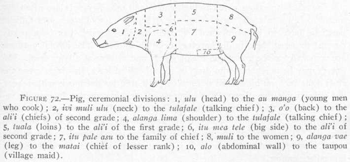 ScientistSamoan's tweet image. In Samoan ceremony, the cooked pig was divided according to rank and title. Each part, showing how food reflected hierarchy, reciprocity, and respect in village life.