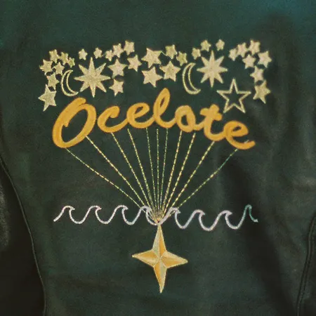 novelezra's tweet image. Videogame Designer / Musician / Composer / Video Essayist