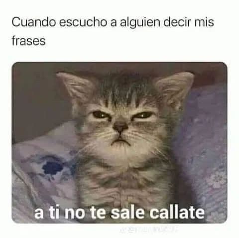 🇲🇽 México Mágico ✨ tweet media