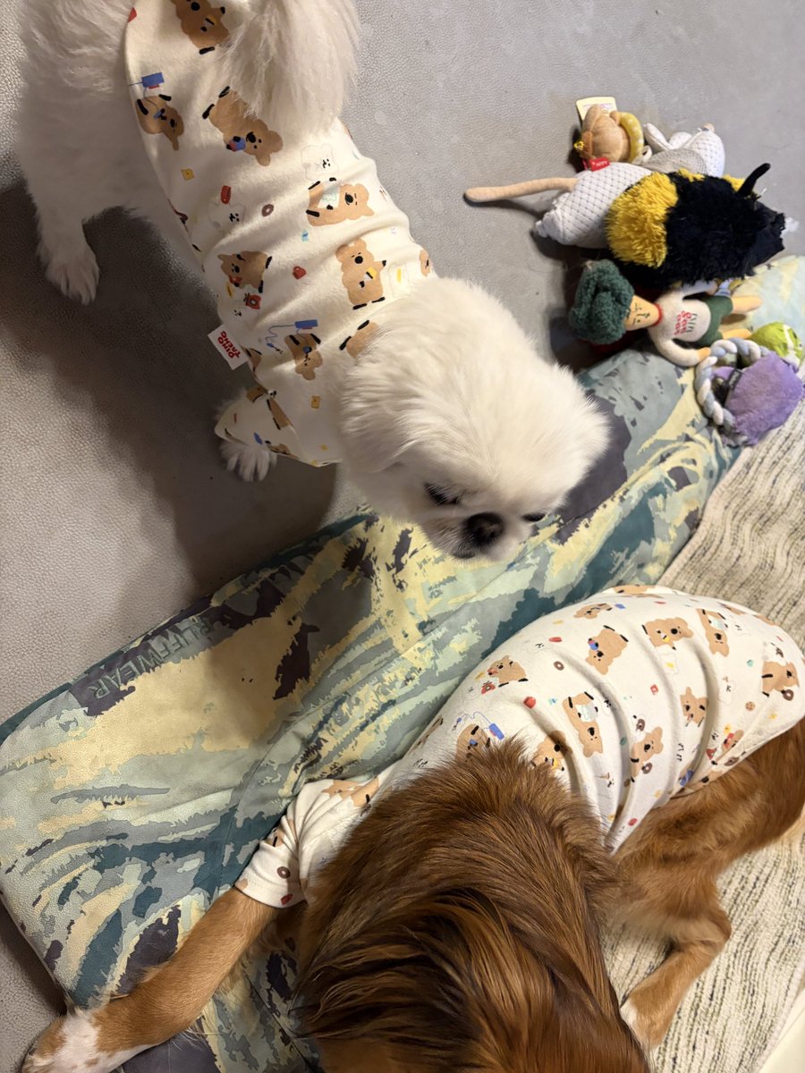 6일간 출장가는데 돌아올때까지 애들 내복 안벗길거라는데… 진심인거 같은데…