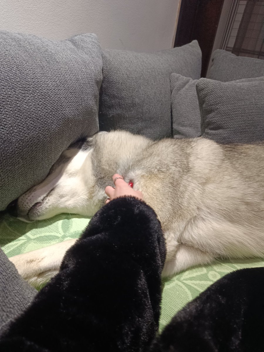 tfamIdoing2nd's tweet image. He is hiding