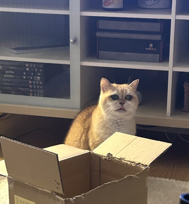 mimybug's tweet image. me when i lick my nose behind a box