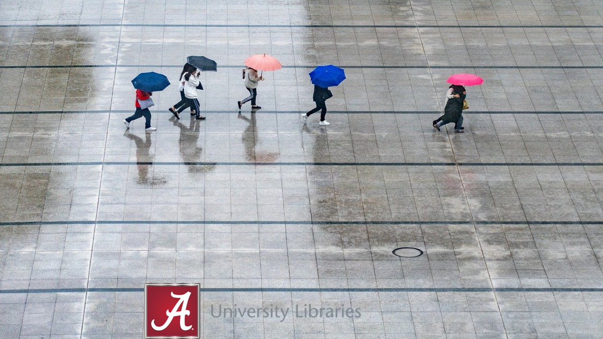 BrunoLibrary's tweet image. Today&apos;s the perfect day to escape the rainy weather with a visit to the library! 

We are open until 5pm today and tomorrow, but our online resources are available 24/7. 

Visit our website to get started: lib.ua.edu/#/home