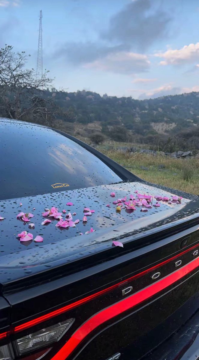 الطايف - ٢٠٢٤