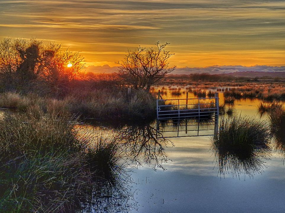 Anthony Ward tweet media