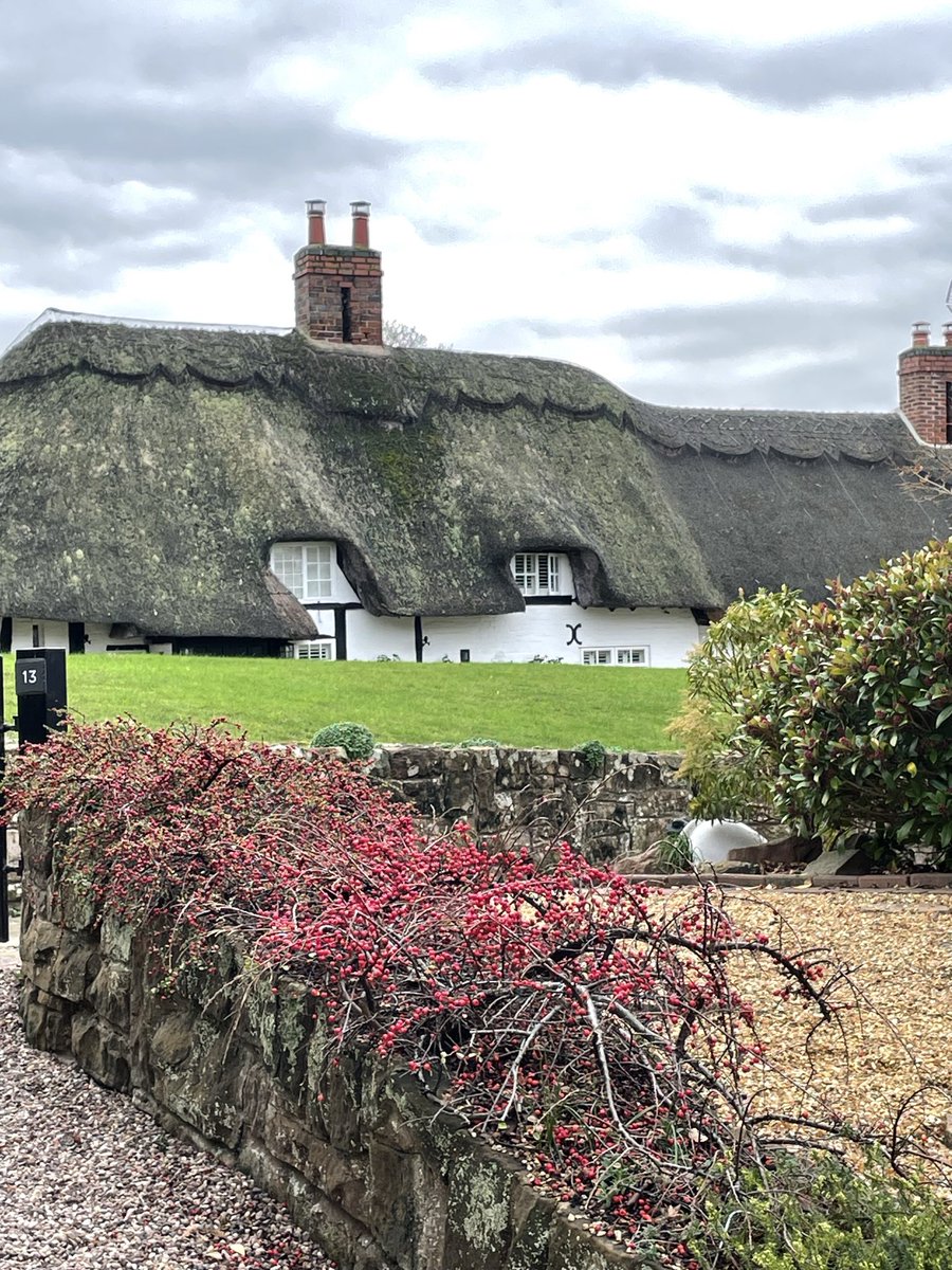 AshPrinceWriter's tweet image. Thatched houses remind me of #millymollymandy. Anyone else? #childrensbooks #readingcommunity #bookstagram