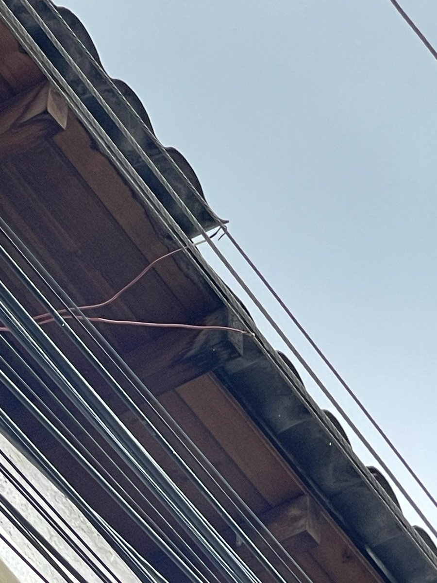 Henry Quimbiulco tweet media