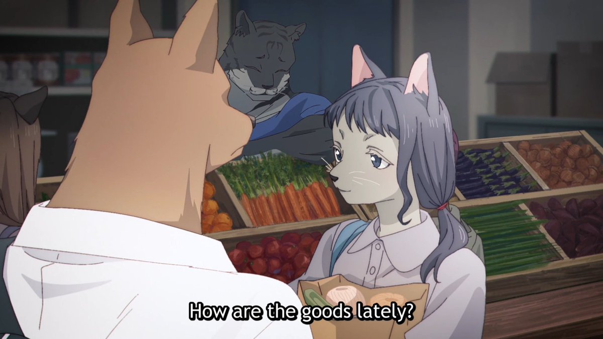 Cody | Wile E stan tweet media