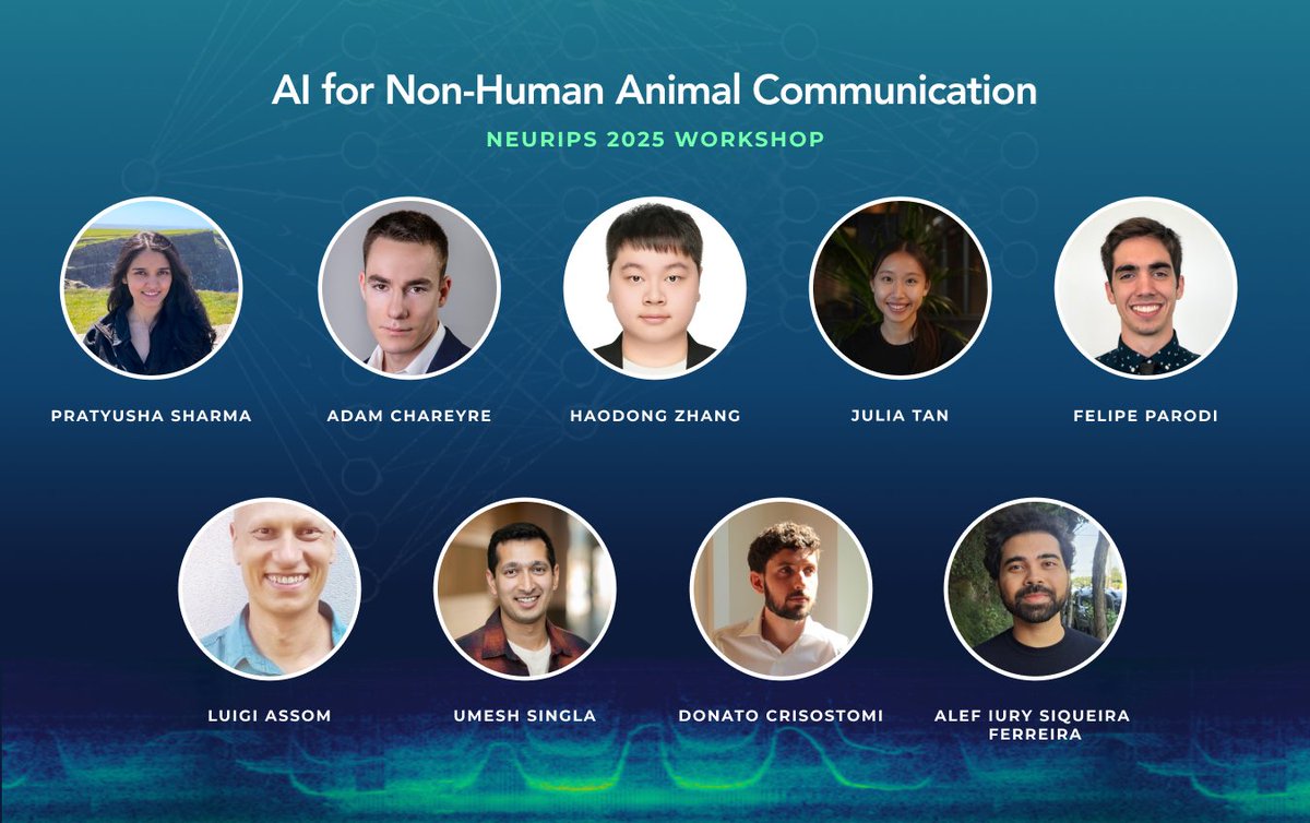 earthspecies's tweet photo. We’re less than 2 weeks away from the AI for Non-Human Animal Communication Workshop at @NeurIPSConf! 

Meet the full lineup of Lightning Talk speakers spanning research across the tree of life: from cetaceans, primates &amp; frogs, to fruit bats, fruit flies &amp; pollinators 🐋🐸🦇🐝 https://t.co/0E8s5ZWGGf
