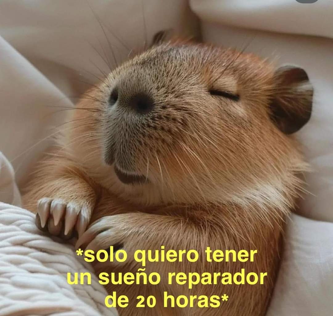 barbie_context's tweet photo. https://t.co/poaZ9zK5y9