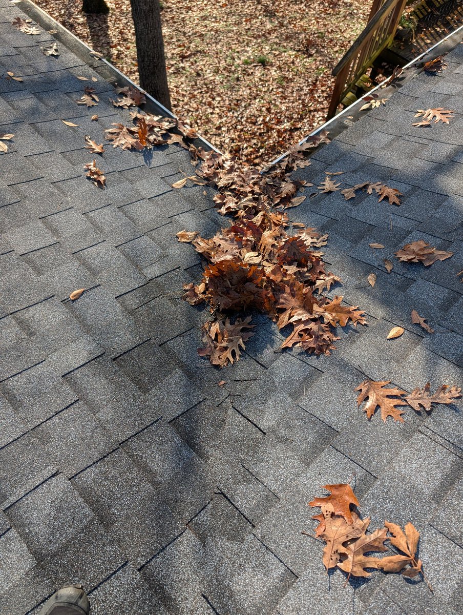 modintelligence's tweet image. Our first home was an asset/liability as we rented out the rooms &amp;amp; eventually the entire modest townhome. Current home is a liability requiring maintenance (today). But we have to live somewhere.

Today all rental real estate has been transferred into BTC removing that liability.